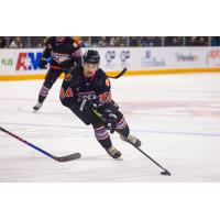 Knoxville Ice Bears center Jared Nash