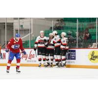 Belleville Senators celebrate a goal vs. the Laval Rocket
