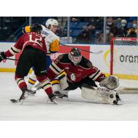 Red Deer Rebels goaltender Connor Ungar vs. the Saskatoon Blades