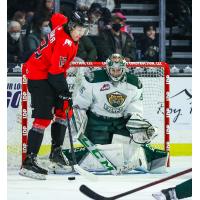 Prince George Cougars centre Koehn Ziemmer challenges the Everett Silvertips