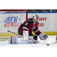 Vancouver Giants goaltender Will Gurski collects a puck against the Seattle Thunderbirds