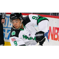 Binghamton Black Bears forward Thomas Aldworth