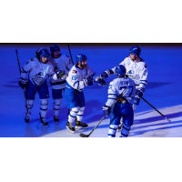 Wichita Thunder react after a goal against the Idaho Steelheads