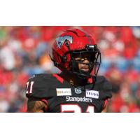 Calgary Stampeders defensive back Raheem Wilson