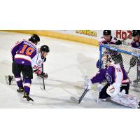 Reading Royals battle the Adirondack Thunder