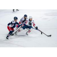 Springfield Thunderbirds forward Dakota Joshua (right)