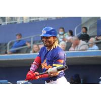 High Point Rockers infielder Michael Martinez