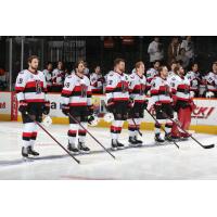 Belleville Senators line up for their game against the Lehigh Valley Phantoms