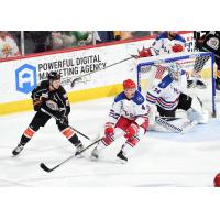 Allen Americans goaltender Antoine Bibeau vs. the Kansas City Mavericks