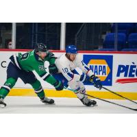 Maine Mariners defenseman Connor Doherty (left)