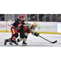 Grand Rapids Griffins battle the Iowa Wild