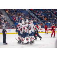 Springfield Thunderbirds celebrate a goal against the Hartford Wolf Pack