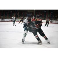 North Iowa Bulls forward Jack Campion (left) gets tangled up with an Aberdeen Wing