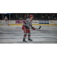 Grand Rapids Griffins defenseman Dan Renouf