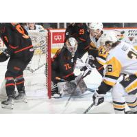 Lehigh Valley Phantoms goaltender Kirill Ustimenko vs. the Wilkes-Barre/Scranton Penguins