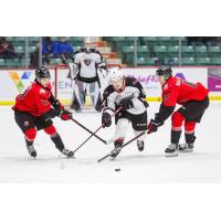Vancouver Giants right wing Payton Mount (center) vs. the Prince George Cougars