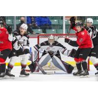 Vancouver Giants goaltender Jesper Vikman vs. the Prince George Cougars