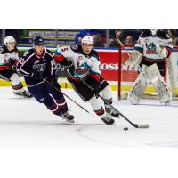 Kelowna Rockets defenceman John Babcock vs. the Tri-City Americans