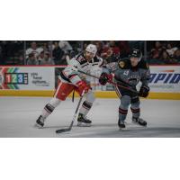Grand Rapids Griffins left wing Brett McKenzie (left) vs. the Rockford IceHogs