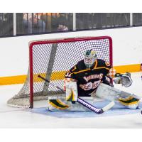 Knoxville Ice Bears goaltender Kristian Stead