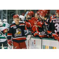 Grand Rapids Griffins defenseman Brian Lashoff