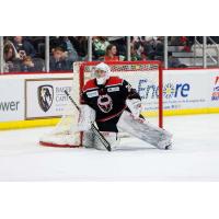Birmingham Bulls goaltender Hayden Stewart