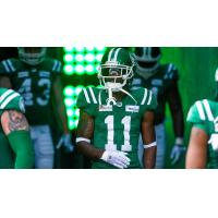 Saskatchewan Roughriders defensive back Ed Gainey
