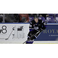 Victoria Royals defenceman Luke Shipley