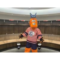 Milwaukee Admirals mascot Roscoe in Milwaukee Fish Fry jersey