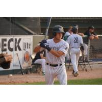 Wausau Woodchucks infielder Ryan Sepede