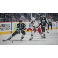Grand Rapids Griffins center Joe Veleno (right) vs. the Ontario Reign