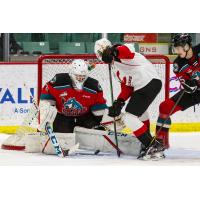 Prince George Cougars test the Kelowna Rockets goaltender