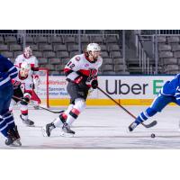 Belleville Senators centre Mark Kastelic vs. the Toronto Marlies