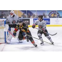 Rapid City Rush goaltender Dillon Kelley vs. the Norfolk Admirals