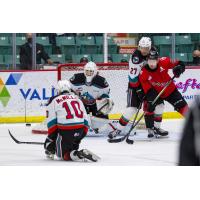 Kelowna Rockets goaltender Talyn Boyko vs. the Prince George Cougars