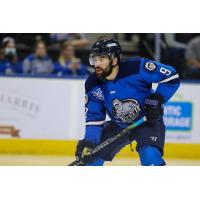 Jacksonville Icemen forward Luke Lynch