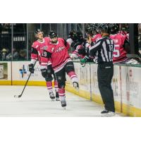 Texas Stars right wing Jeremy Gregoire
