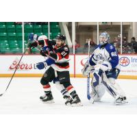 Belleville Senators left wing Tyrell Goulbourne (left) vs. the Syracuse Crunch