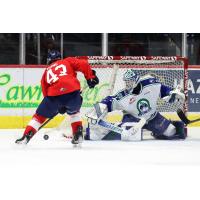 Tanner Howe of the Regina Pats vs. the Swift Current Broncos