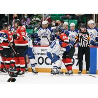 Belleville Senators mix it up with the Syracuse Crunch