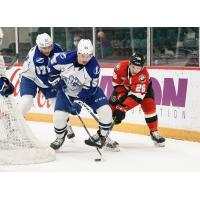 Belleville Senators left wing Andrew Agozzino (right) vs. the Syracuse Crunch