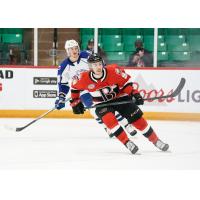 Belleville Senators left wing Jake Lucchini vs. the Syracuse Crunch