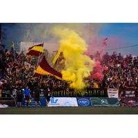 Detroit City FC fans show their support