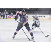 Reading Royals vs. the Wheeling Nailers
