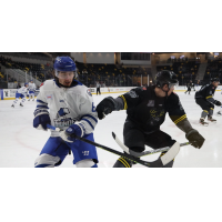 Wichita Thunder battles the Iowa Heartlanders