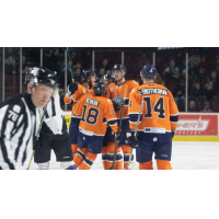Worcester Railers celebrate a goal against the Iowa Steelheads