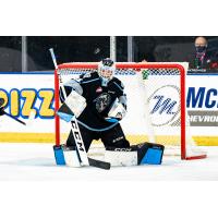 Winnipeg ICE goaltender Gage Alexander