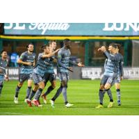 Tacoma Defiance reacts after a goal