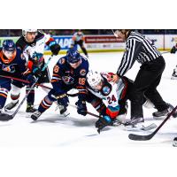 Kelowna Rockets centre Dylan Wightman (right) vs. the Kamloops Blazers
