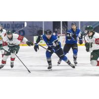 Saint John Sea Dogs right wing Jacob Chantler races after the puck vs. the Halifax Mooseheads